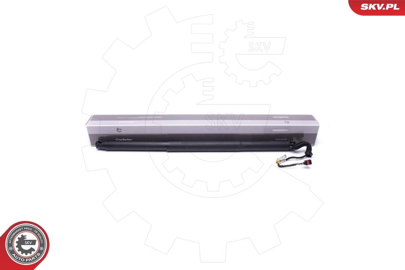 ESEN SKV 52SKV944 Electric Motor, tailgate