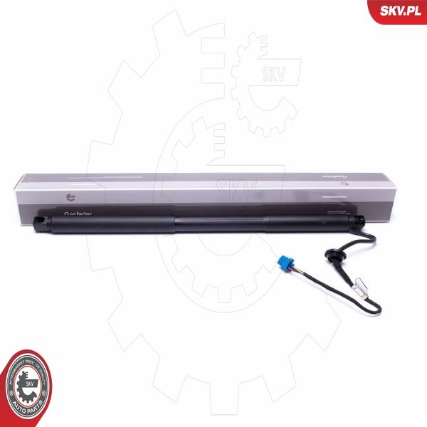 ESEN SKV 52SKV948 Electric Motor, tailgate