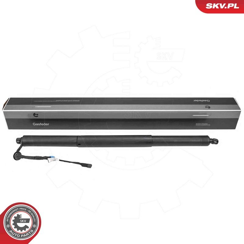 ESEN SKV 52SKV972 Electric Motor, tailgate