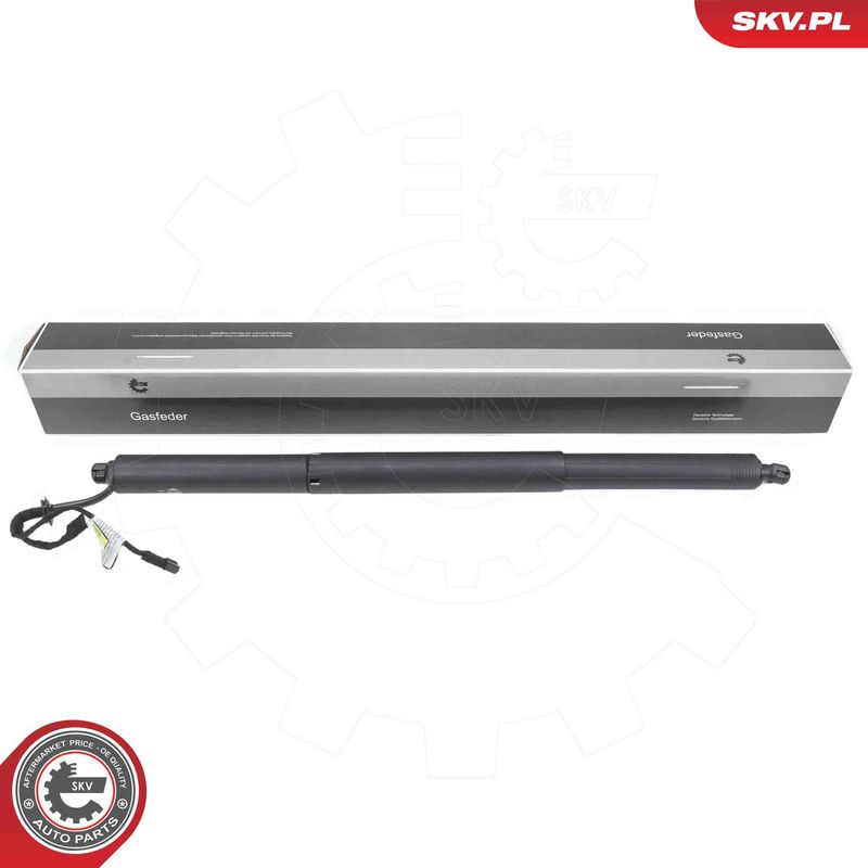 ESEN SKV 52SKV973 Electric Motor, tailgate