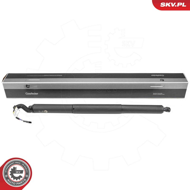 ESEN SKV 52SKV974 Electric Motor, tailgate