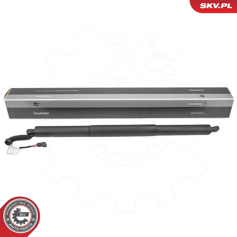 ESEN SKV 52SKV975 Electric Motor, tailgate