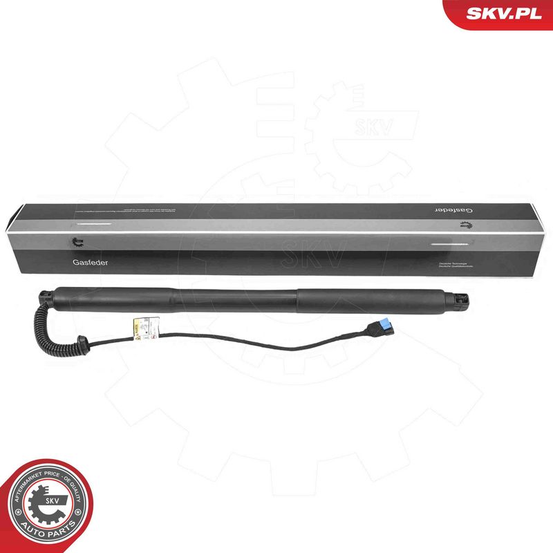 ESEN SKV 52SKV976 Electric Motor, tailgate