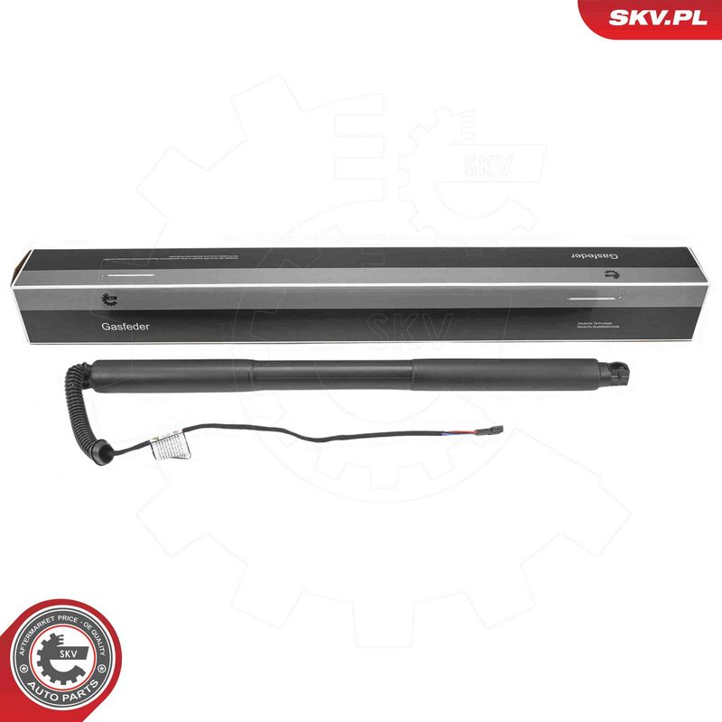 ESEN SKV 52SKV978 Electric Motor, tailgate