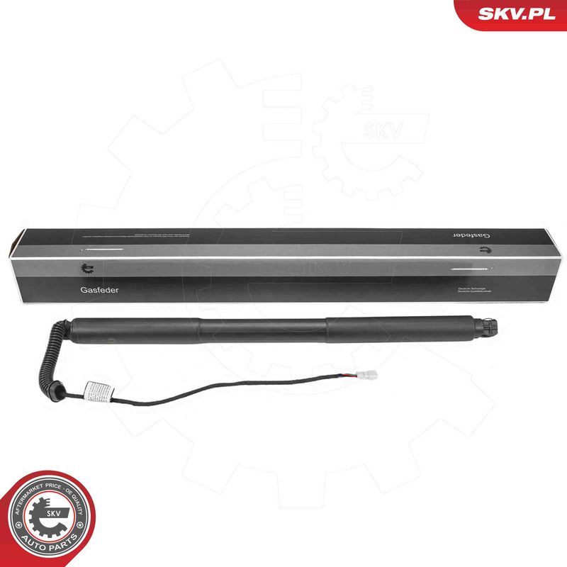 ESEN SKV 52SKV979 Electric Motor, tailgate