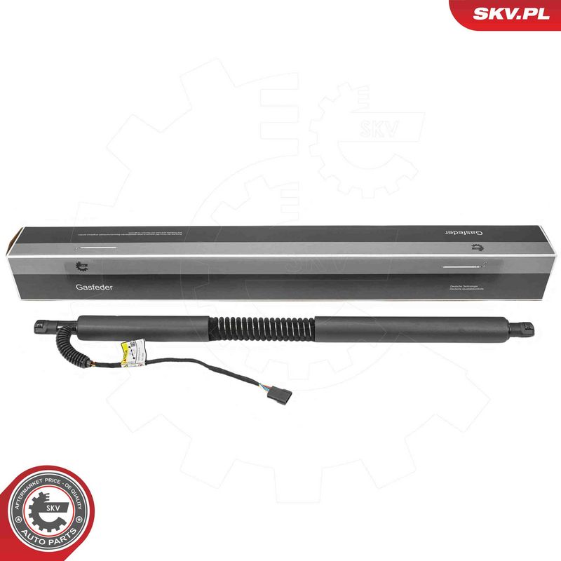 ESEN SKV 52SKV980 Electric Motor, tailgate