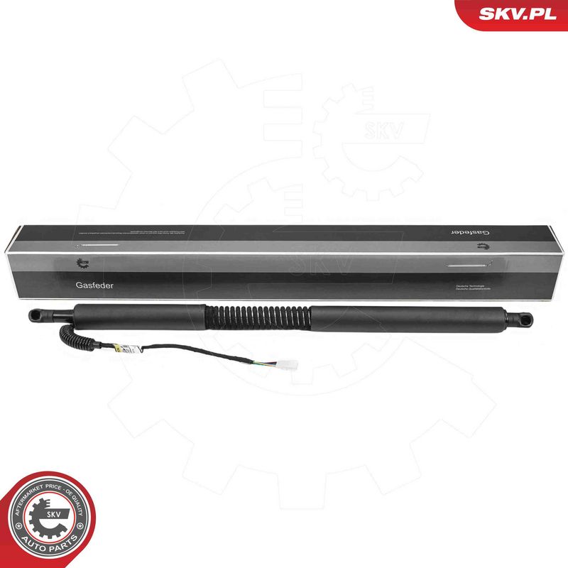 ESEN SKV 52SKV981 Electric Motor, tailgate