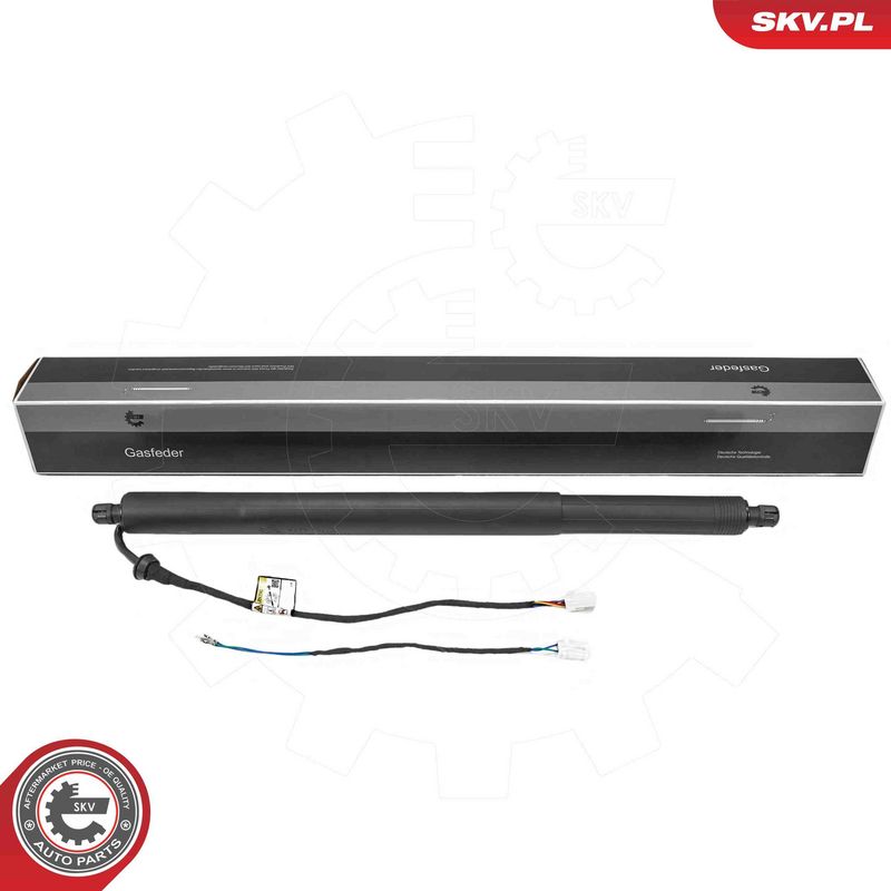 ESEN SKV 52SKV982 Electric Motor, tailgate