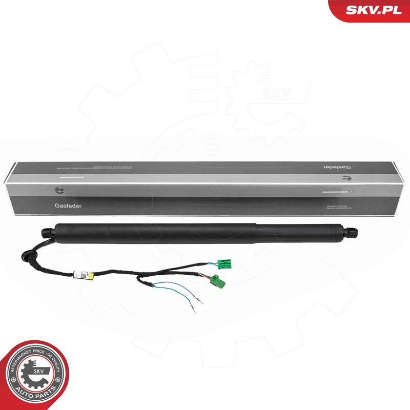 ESEN SKV 52SKV983 Electric Motor, tailgate