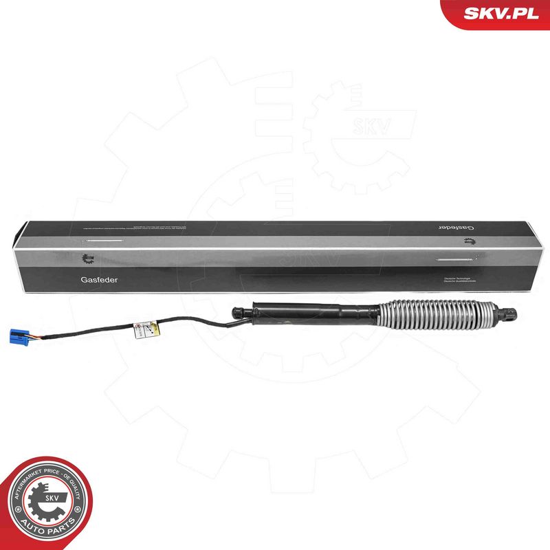 ESEN SKV 52SKV984 Electric Motor, tailgate