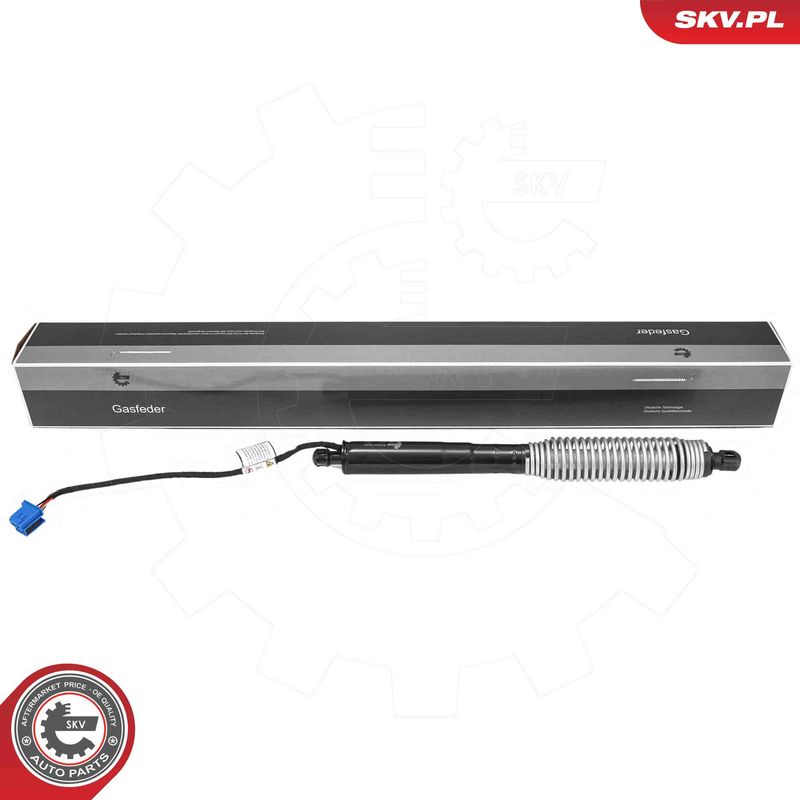 ESEN SKV 52SKV985 Electric Motor, tailgate