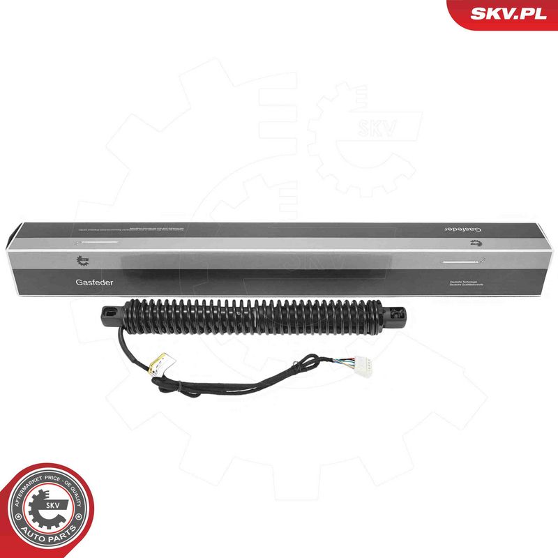 ESEN SKV 52SKV987 Electric Motor, tailgate