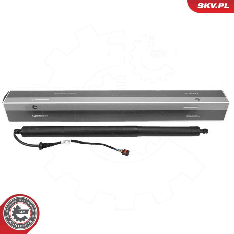 ESEN SKV 52SKV989 Electric Motor, tailgate