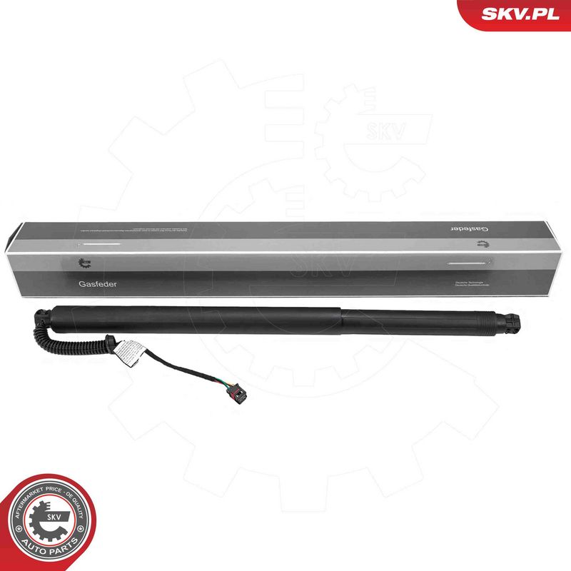 ESEN SKV 52SKV990 Electric Motor, tailgate