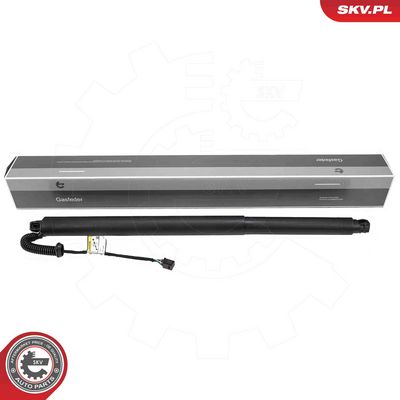 Electric Motor, tailgate ESEN SKV 52SKV991