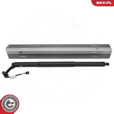 Electric Motor, tailgate ESEN SKV 52SKV993