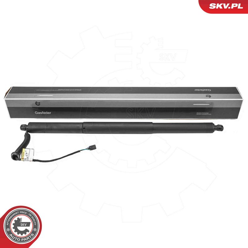 ESEN SKV 52SKV994 Electric Motor, tailgate