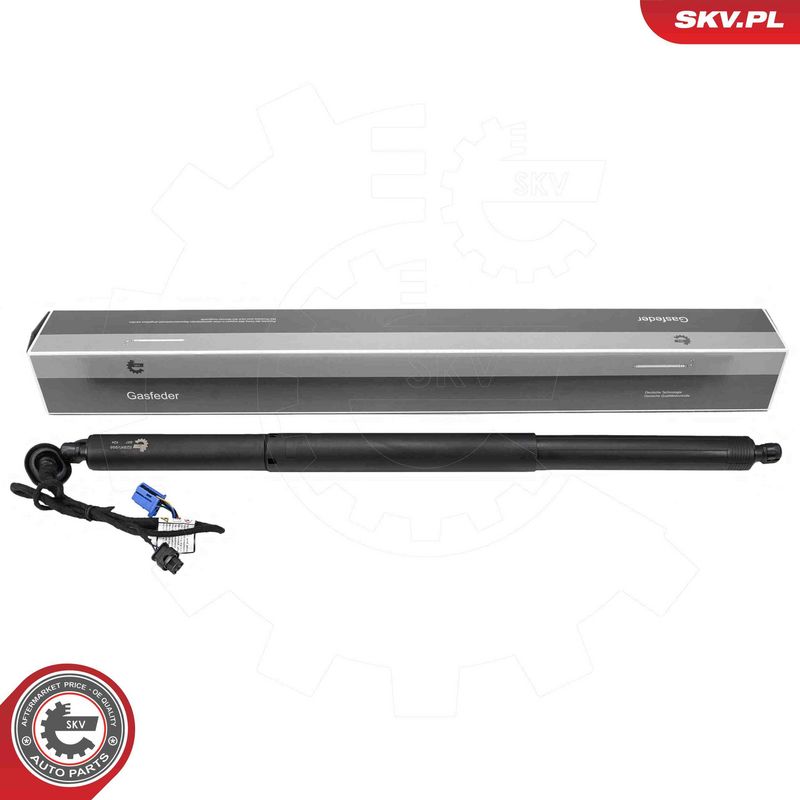 ESEN SKV 52SKV998 Electric Motor, tailgate