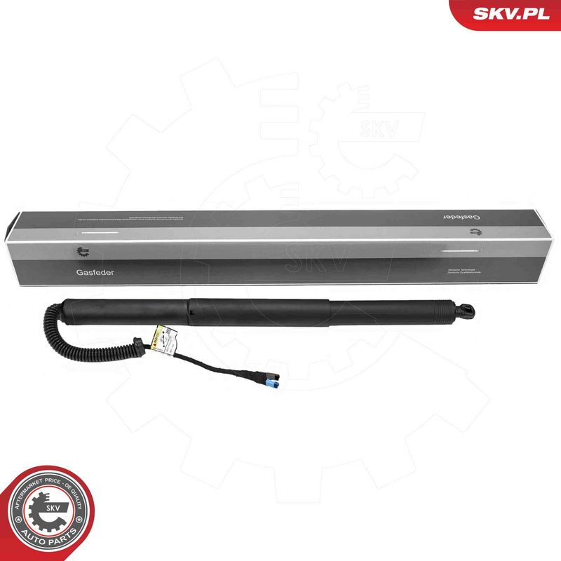 ESEN SKV 52SKV999 Electric Motor, tailgate