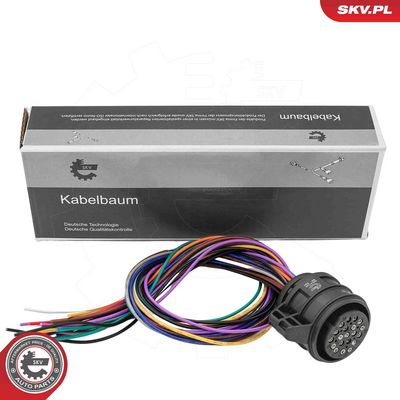 Shift Valve, automatic transmission ESEN SKV 53SKV028