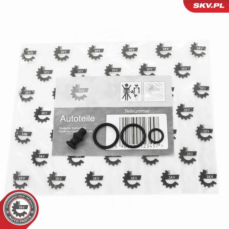 ESEN SKV 53SKV197 Repair Kit, unit injector