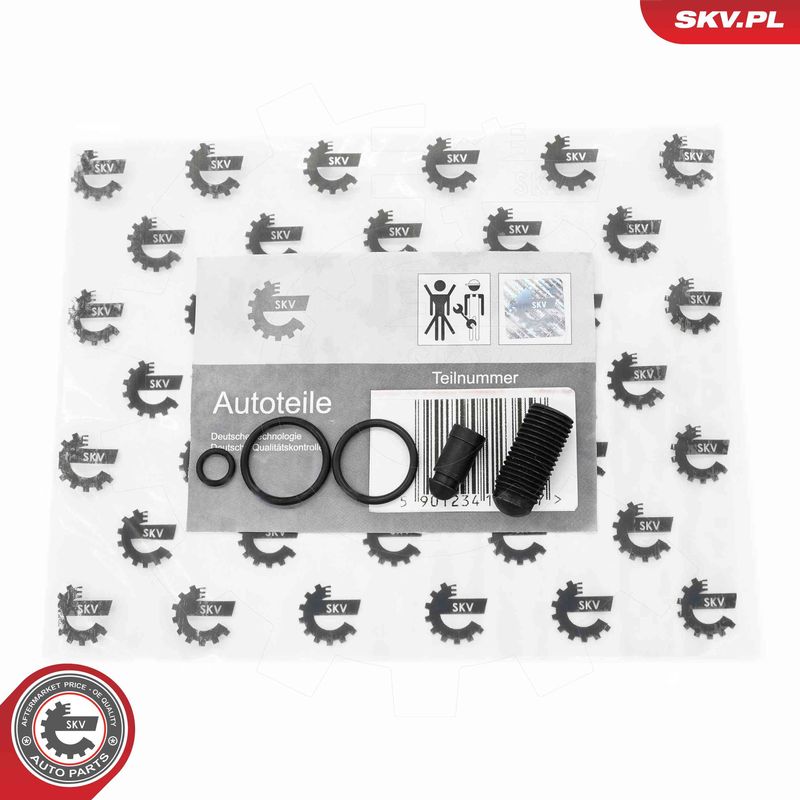 ESEN SKV 53SKV198 Repair Kit, unit injector