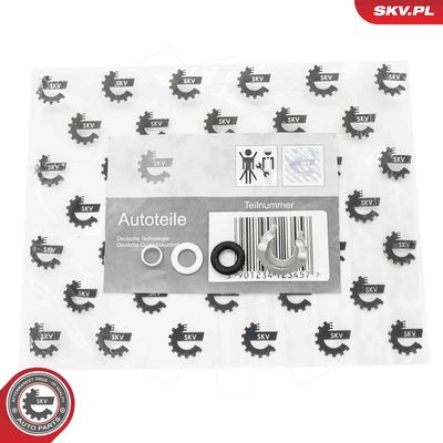 Seal Ring Set, injection valve ESEN SKV 53SKV199