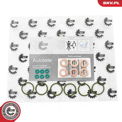 Seal Ring Set, injection valve ESEN SKV 53SKV200