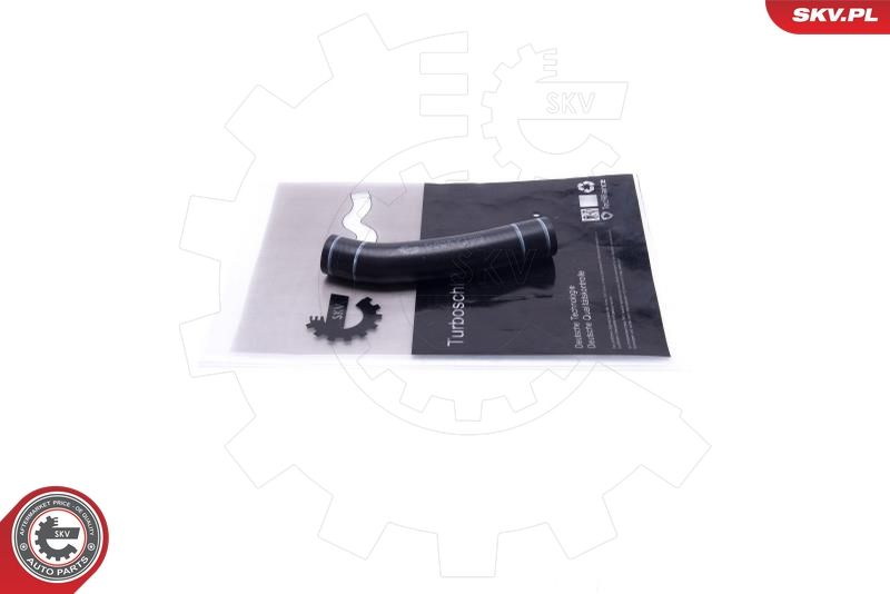 ESEN SKV 54SKV199 Oil Pipe, charger