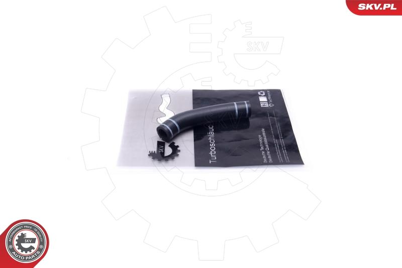 ESEN SKV 54SKV200 Oil Pipe, charger