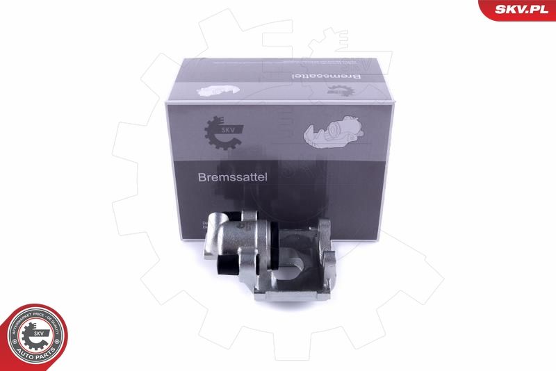 ESEN SKV 55SKV163 Brake Caliper