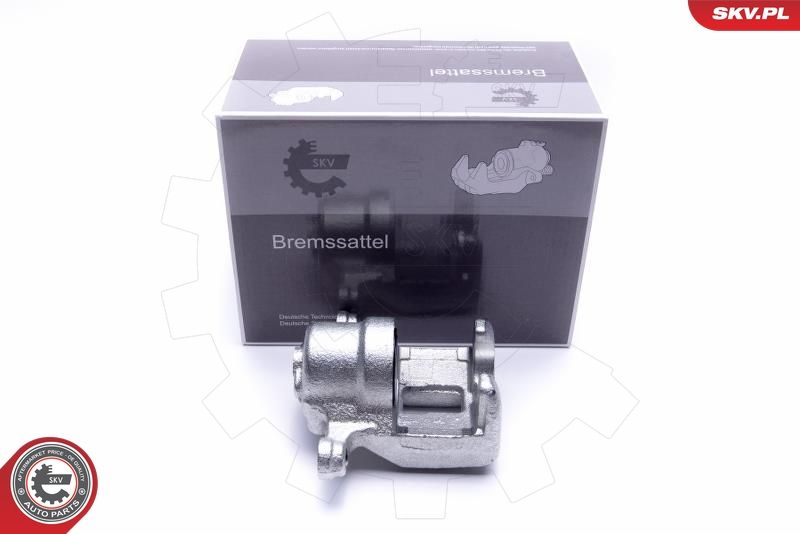 ESEN SKV 55SKV484 Brake Caliper