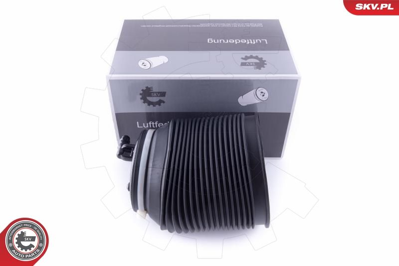 ESEN SKV 58SKV010 Air Spring, suspension