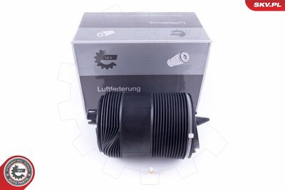 Air Spring, suspension ESEN SKV 58SKV033