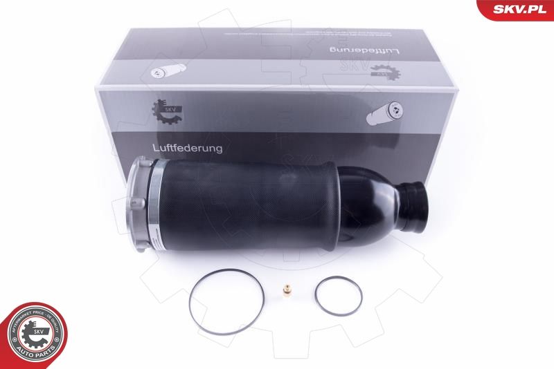 ESEN SKV 58SKV043 Air Spring, suspension