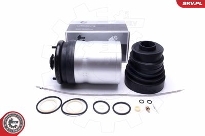 Air Suspension Strut ESEN SKV 58SKV059