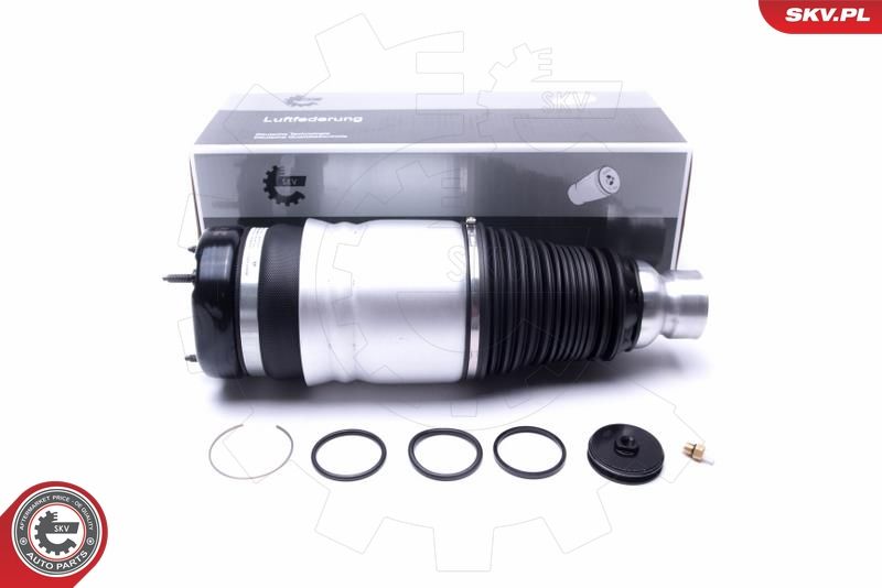 ESEN SKV 58SKV060 Air Suspension Strut