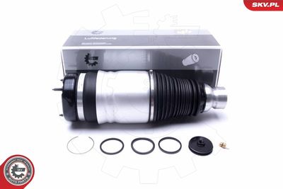 Air Suspension Strut ESEN SKV 58SKV060