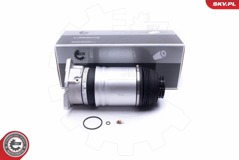ESEN SKV 58SKV068 Air Suspension Strut
