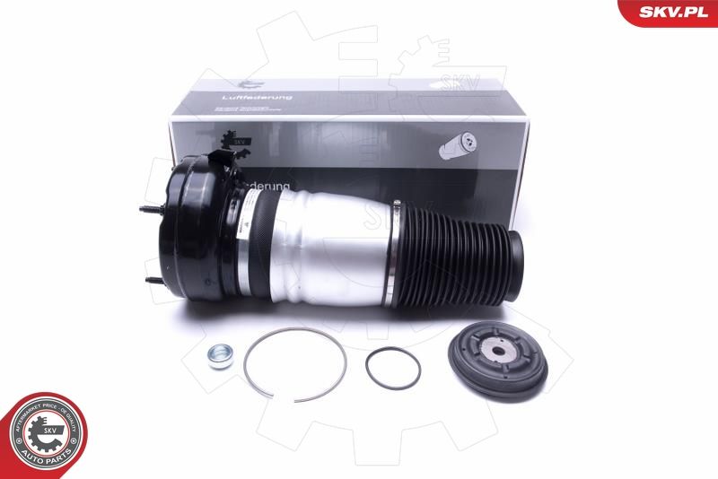 ESEN SKV 58SKV069 Air Suspension Strut