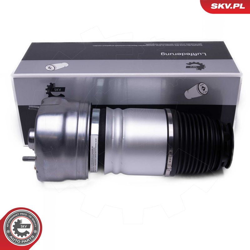 ESEN SKV 58SKV079 Air Suspension Strut