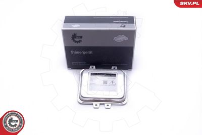 Control Unit, lights ESEN SKV 59SKV004