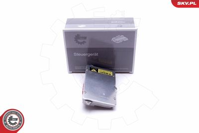 Control, instrument lighting ESEN SKV 59SKV010