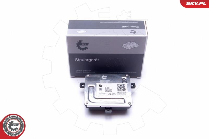 ESEN SKV 59SKV029 Control Unit, lights