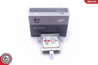 Control Unit, lights ESEN SKV 59SKV039