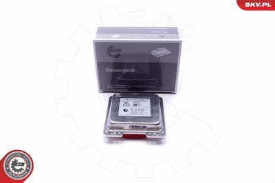 Control Unit, lights ESEN SKV 59SKV046