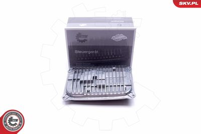 Control Unit, lights ESEN SKV 59SKV048