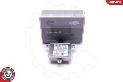 Control Unit, lights ESEN SKV 59SKV056