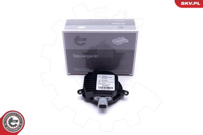 Control Unit, lights ESEN SKV 59SKV057