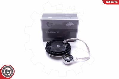 Control Unit, lights ESEN SKV 59SKV062